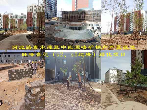 河北路泰承建冀中能源峰矿棚户产区改造旺峰嘉苑（s2、s5地块）绿化项目有序施工中